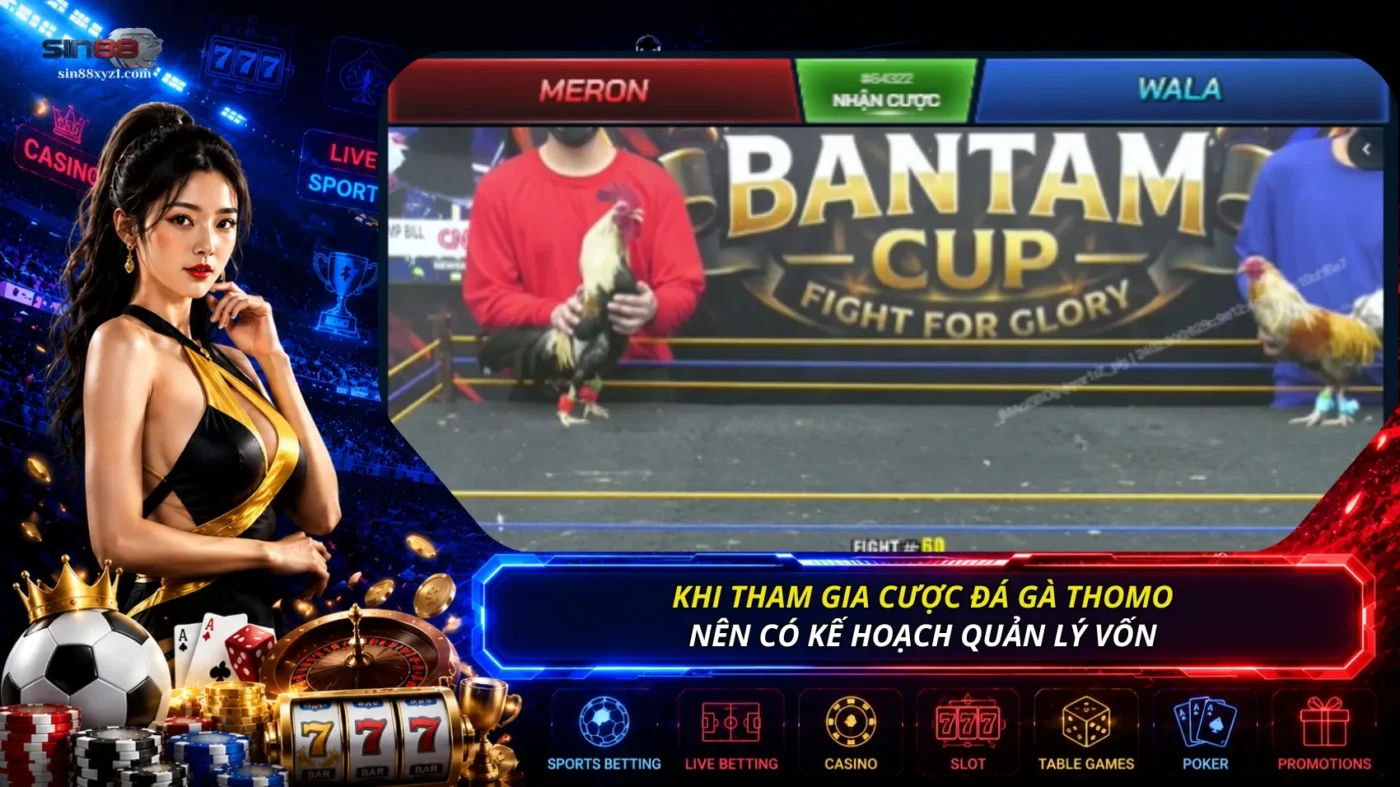 Khi tham gia cược đá gà Thomo nên có kế hoạch quản lý ngân sách kỹ lưỡng